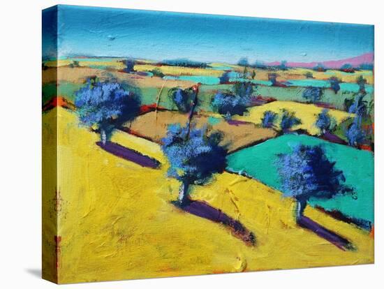 Yellow Hill (acrylic on canvas, 2021)-Paul Powis-Stretched Canvas