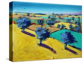 Yellow Hill (acrylic on canvas, 2021)-Paul Powis-Stretched Canvas