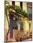 Yellow House, Agiasos, Lesvos, Mytilini, Aegean Islands, Greece-Walter Bibikow-Mounted Photographic Print