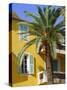 Yellow House and Palm Tree, Villefranche Sur Mer, Cote d'Azur, Provence, France, Europe-John Miller-Stretched Canvas