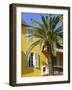 Yellow House and Palm Tree, Villefranche Sur Mer, Cote d'Azur, Provence, France, Europe-John Miller-Framed Photographic Print