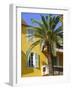 Yellow House and Palm Tree, Villefranche Sur Mer, Cote d'Azur, Provence, France, Europe-John Miller-Framed Photographic Print