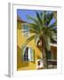 Yellow House and Palm Tree, Villefranche Sur Mer, Cote d'Azur, Provence, France, Europe-John Miller-Framed Photographic Print