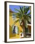 Yellow House and Palm Tree, Villefranche Sur Mer, Cote d'Azur, Provence, France, Europe-John Miller-Framed Photographic Print