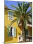 Yellow House and Palm Tree, Villefranche Sur Mer, Cote d'Azur, Provence, France, Europe-John Miller-Mounted Photographic Print