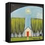 Yellow House Red Door-Tim Nyberg-Framed Stretched Canvas