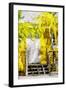 Yellow - In the Style of Oil Painting-Philippe Hugonnard-Framed Premium Giclee Print