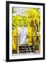 Yellow - In the Style of Oil Painting-Philippe Hugonnard-Framed Giclee Print