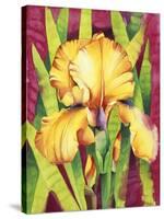 Yellow Iris with Maroon Back-Mary Russel-Stretched Canvas