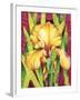 Yellow Iris with Maroon Back-Mary Russel-Framed Giclee Print