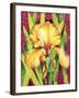 Yellow Iris with Maroon Back-Mary Russel-Framed Giclee Print