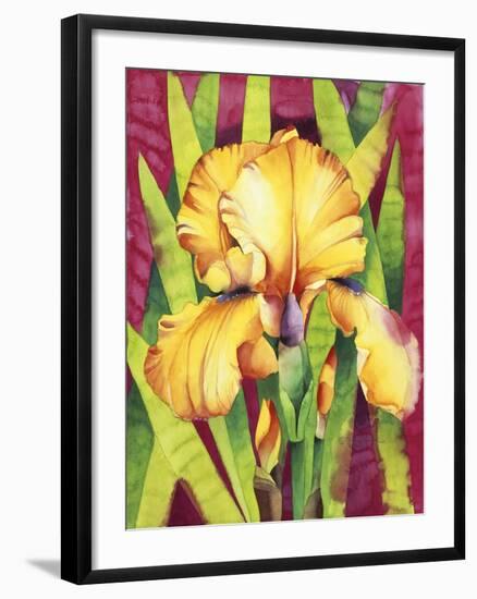 Yellow Iris with Maroon Back-Mary Russel-Framed Giclee Print