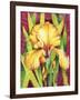 Yellow Iris with Maroon Back-Mary Russel-Framed Giclee Print