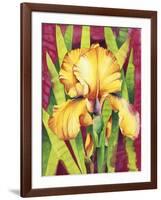 Yellow Iris with Maroon Back-Mary Russel-Framed Giclee Print