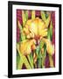 Yellow Iris with Maroon Back-Mary Russel-Framed Giclee Print