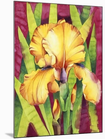 Yellow Iris with Maroon Back-Mary Russel-Mounted Giclee Print