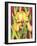 Yellow Iris with Maroon Back-Mary Russel-Framed Giclee Print