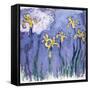 Yellow Iris with Pink Cloud, C.1918-Claude Monet-Framed Stretched Canvas