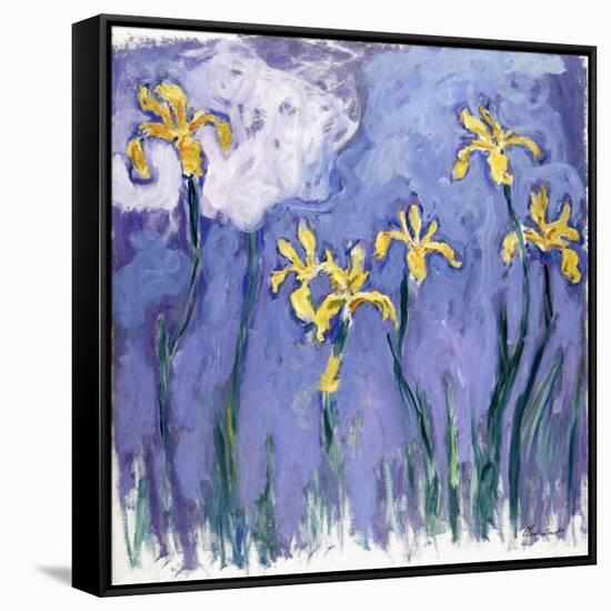 Yellow Iris with Pink Cloud, C.1918-Claude Monet-Framed Stretched Canvas