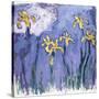 Yellow Iris with Pink Cloud, C.1918-Claude Monet-Stretched Canvas