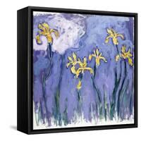 Yellow Iris with Pink Cloud, C.1918-Claude Monet-Framed Stretched Canvas