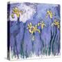 Yellow Iris with Pink Cloud, C.1918-Claude Monet-Stretched Canvas