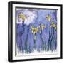 Yellow Iris with Pink Cloud, C.1918-Claude Monet-Framed Giclee Print