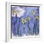 Yellow Iris with Pink Cloud, C.1918-Claude Monet-Framed Giclee Print