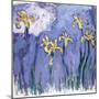 Yellow Iris with Pink Cloud, C.1918-Claude Monet-Mounted Giclee Print