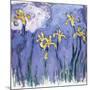 Yellow Iris with Pink Cloud, C.1918-Claude Monet-Mounted Giclee Print