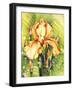 Yellow Iris-Mary Russel-Framed Giclee Print
