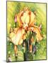 Yellow Iris-Mary Russel-Mounted Giclee Print
