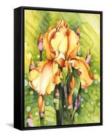 Yellow Iris-Mary Russel-Framed Stretched Canvas