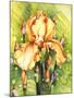 Yellow Iris-Mary Russel-Mounted Giclee Print