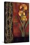 Yellow Iris-Jill Deveraux-Stretched Canvas