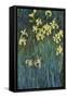 Yellow Irises, 1914-1917-Claude Monet-Framed Stretched Canvas