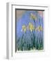 Yellow Irises; Les Iris Jaunes, C.1918-1925-Claude Monet-Framed Giclee Print