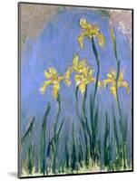 Yellow Irises; Les Iris Jaunes, C.1918-1925-Claude Monet-Mounted Giclee Print