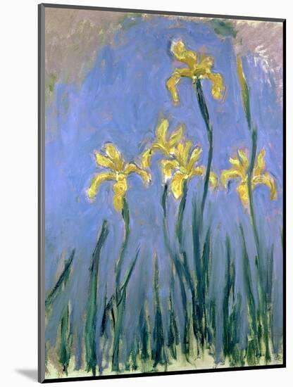 Yellow Irises; Les Iris Jaunes, C.1918-1925-Claude Monet-Mounted Giclee Print