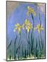 Yellow Irises; Les Iris Jaunes, C.1918-1925-Claude Monet-Mounted Giclee Print
