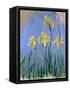 Yellow Irises; Les Iris Jaunes, C.1918-1925-Claude Monet-Framed Stretched Canvas