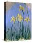 Yellow Irises; Les Iris Jaunes, C.1918-1925-Claude Monet-Stretched Canvas