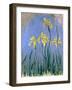 Yellow Irises; Les Iris Jaunes, C.1918-1925-Claude Monet-Framed Giclee Print