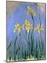 Yellow Irises; Les Iris Jaunes, C.1918-1925-Claude Monet-Mounted Giclee Print