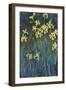 Yellow Irises-Claude Monet-Framed Giclee Print