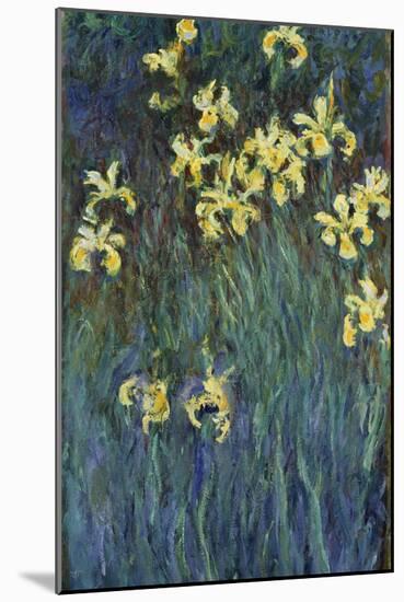 Yellow Irises-Claude Monet-Mounted Giclee Print