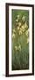 Yellow Irises-Claude Monet-Framed Premium Giclee Print