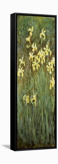 Yellow Irises-Claude Monet-Framed Stretched Canvas