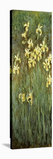 Yellow Irises-Claude Monet-Stretched Canvas