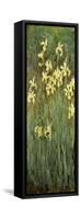 Yellow Irises-Claude Monet-Framed Stretched Canvas